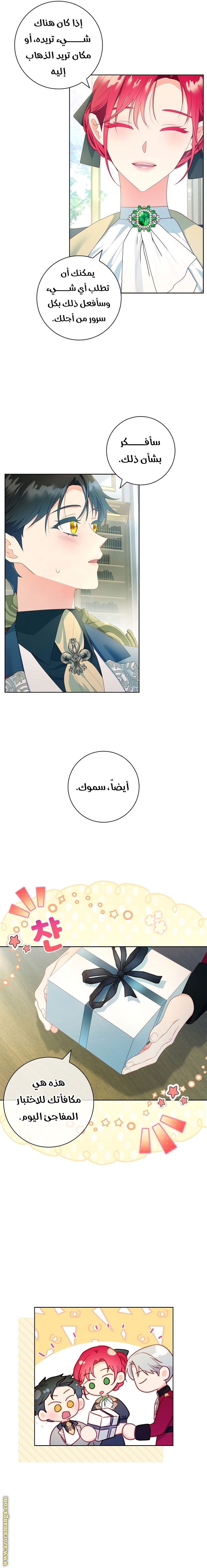 الصفحة 13