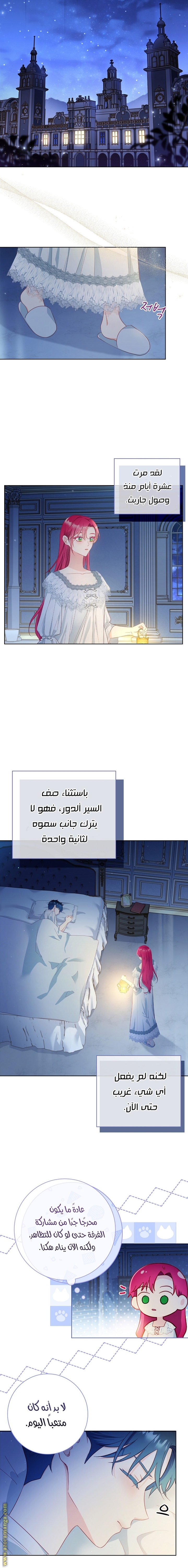 الصفحة 11