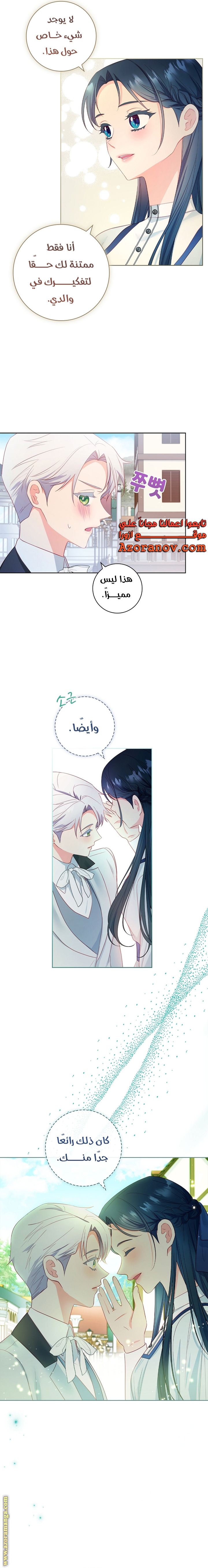 الصفحة 17