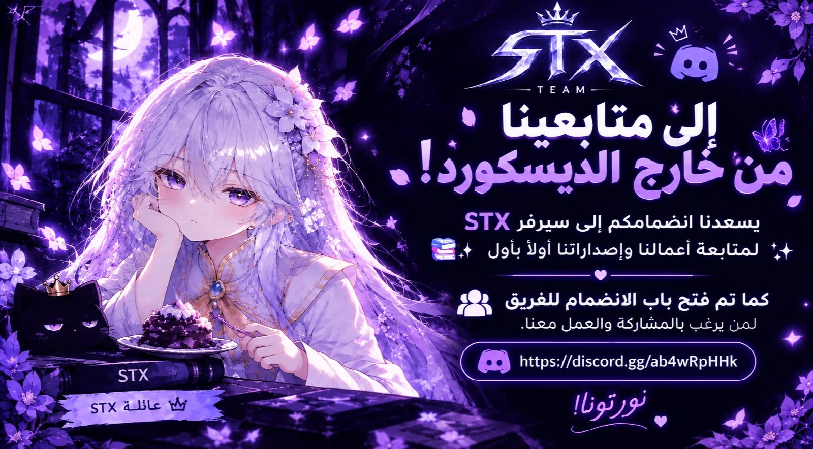 الصفحة 13