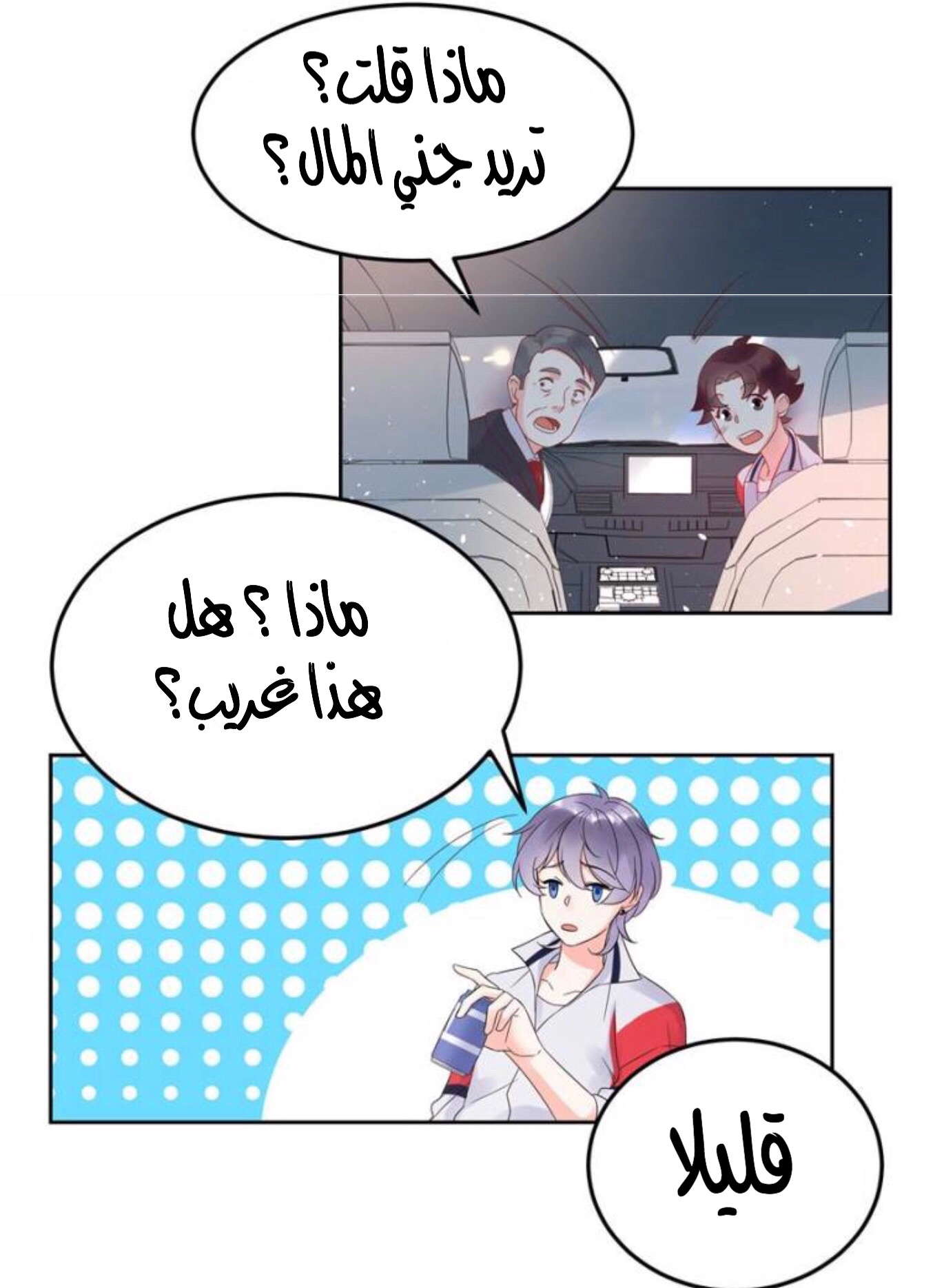 الصفحة 13