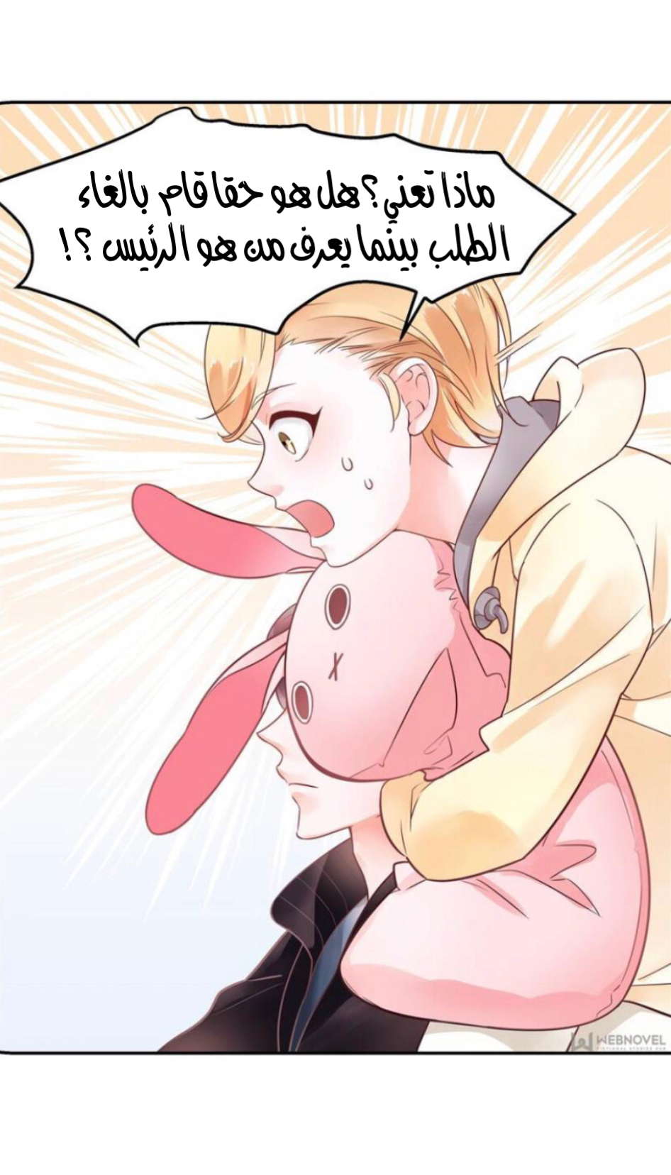 الصفحة 11