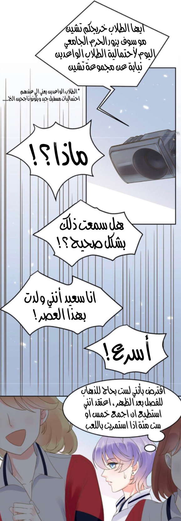 الصفحة 13