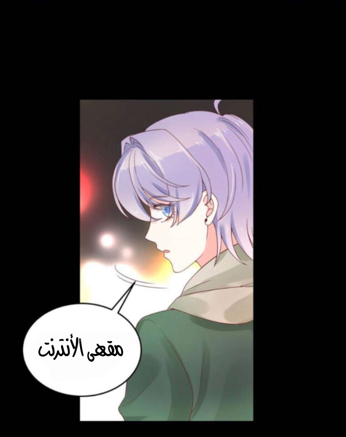 الصفحة 29