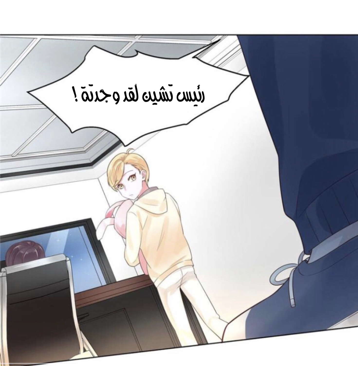الصفحة 17
