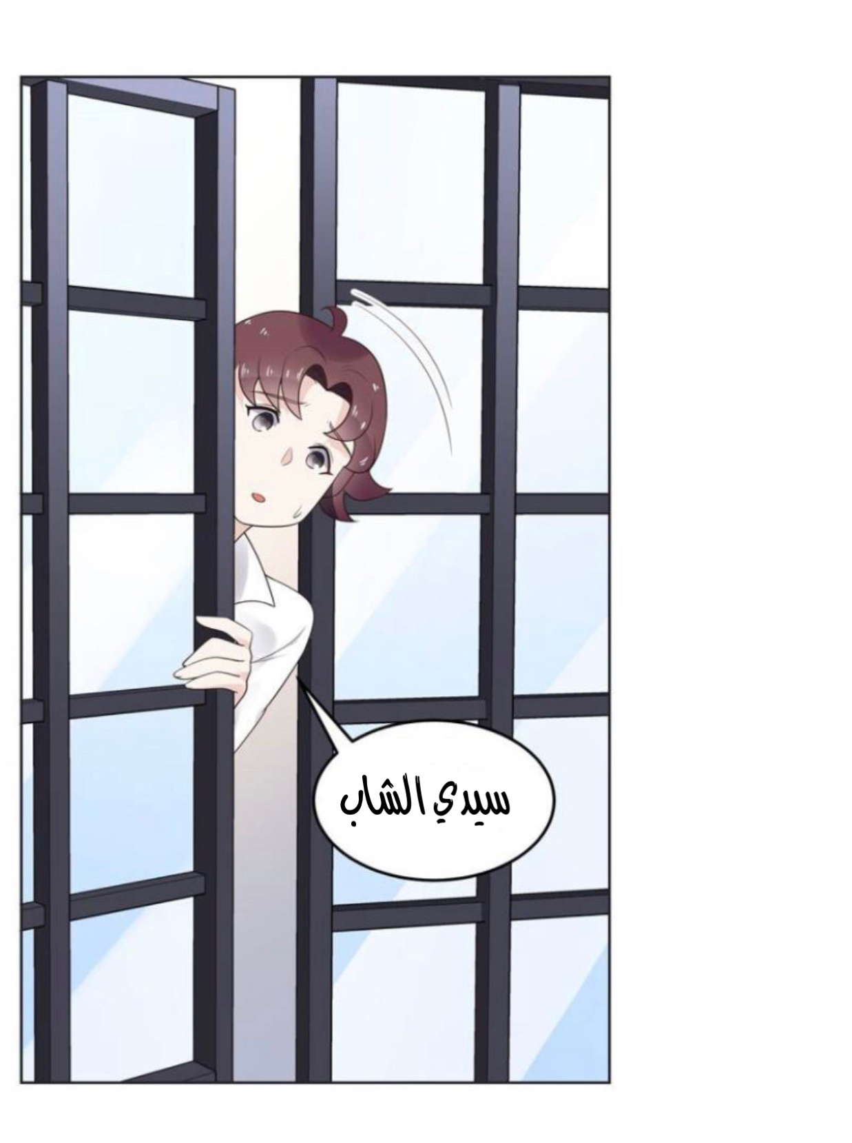 الصفحة 17