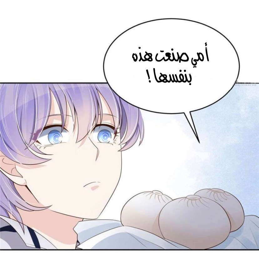 الصفحة 20