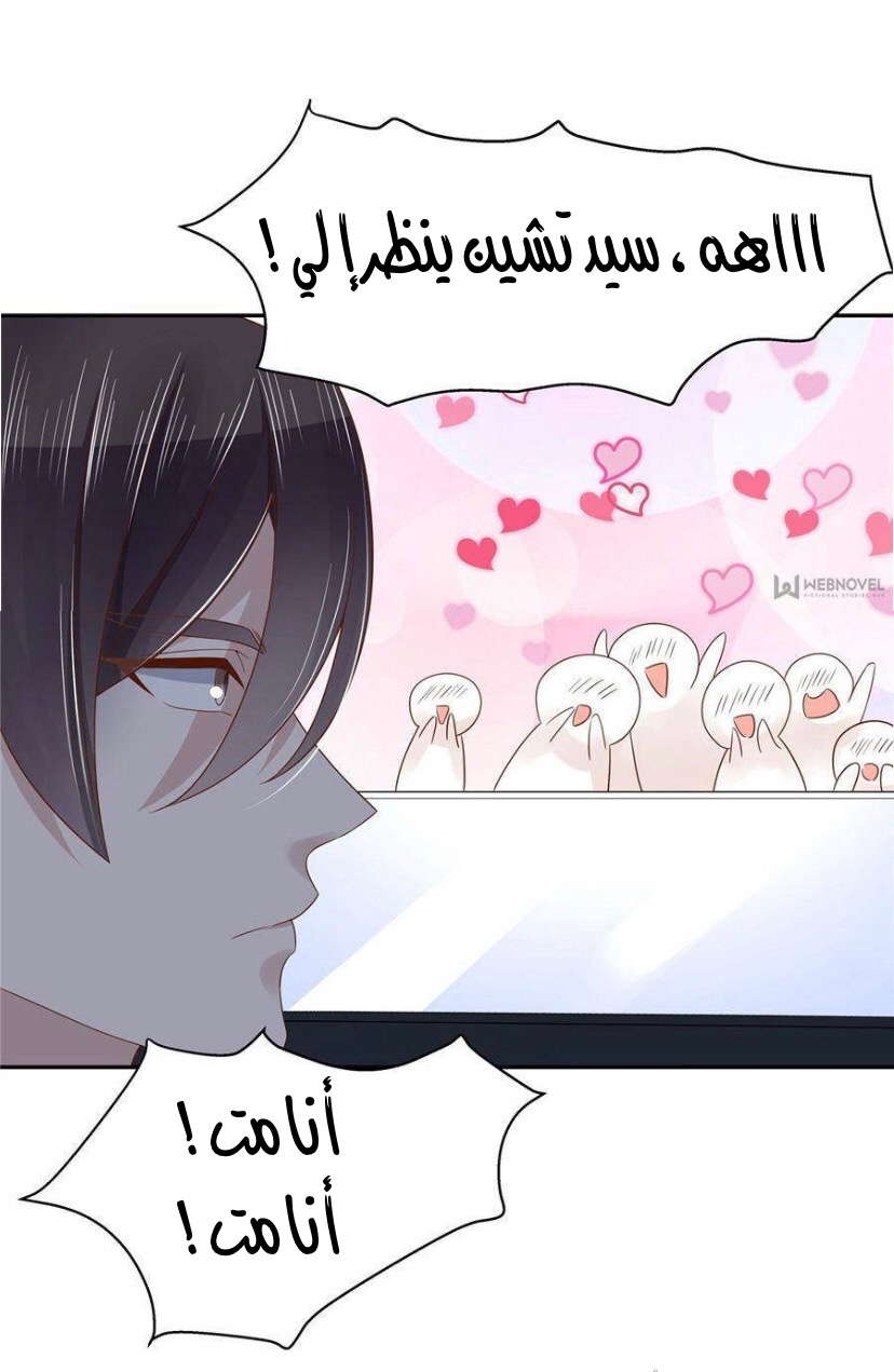الصفحة 29