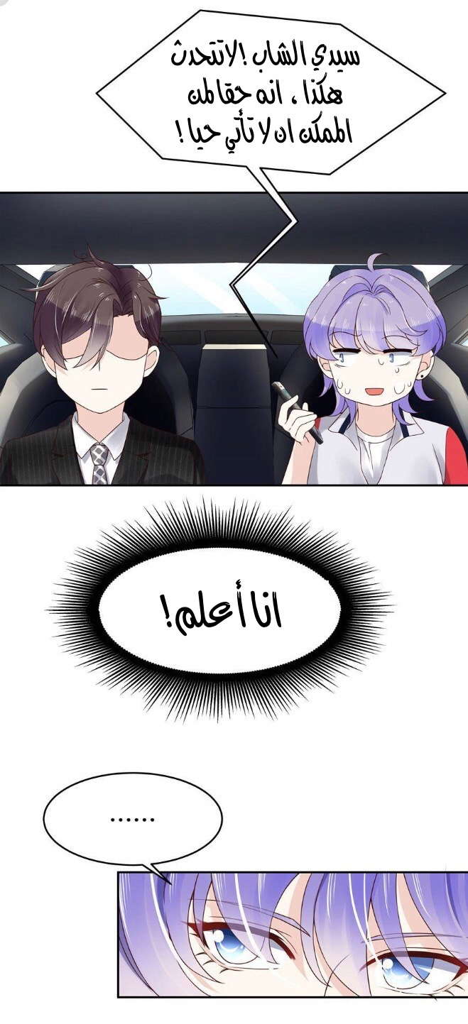 الصفحة 18