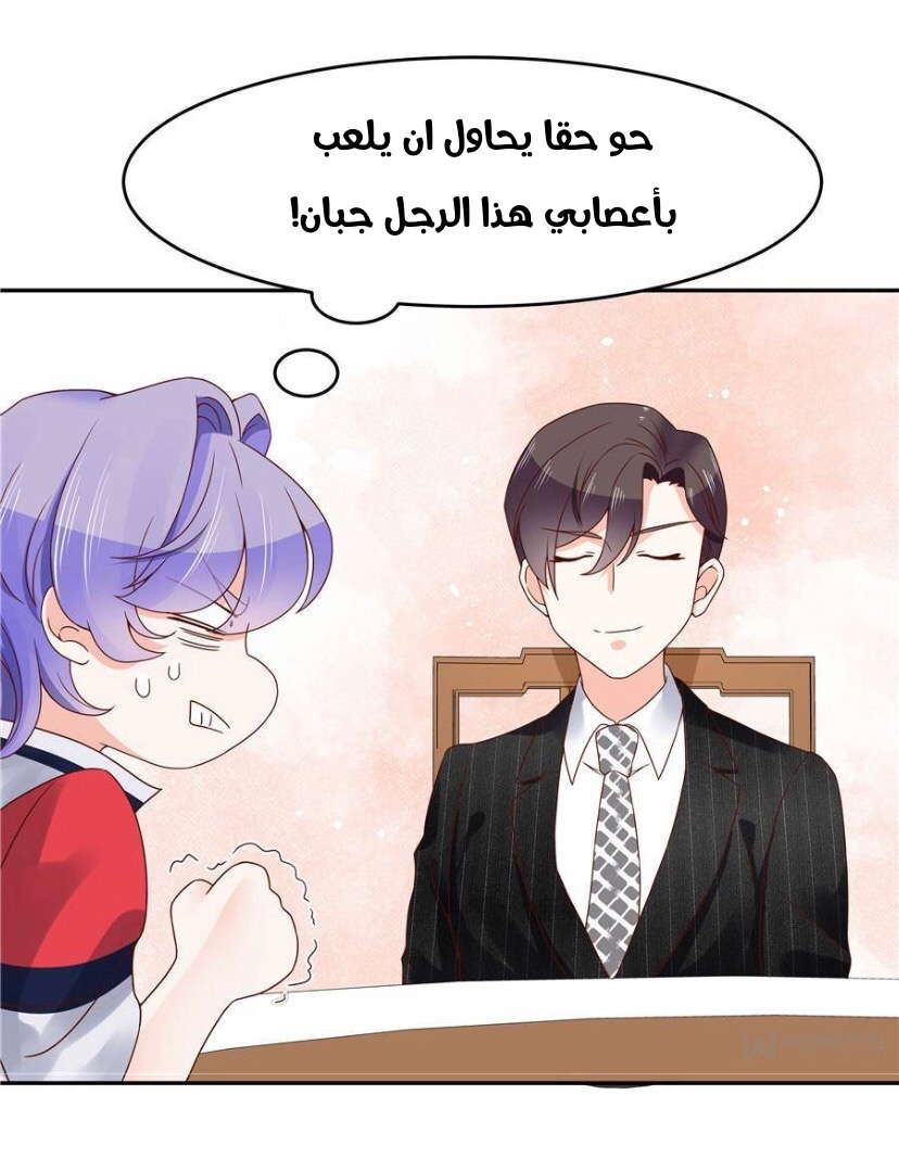 الصفحة 13