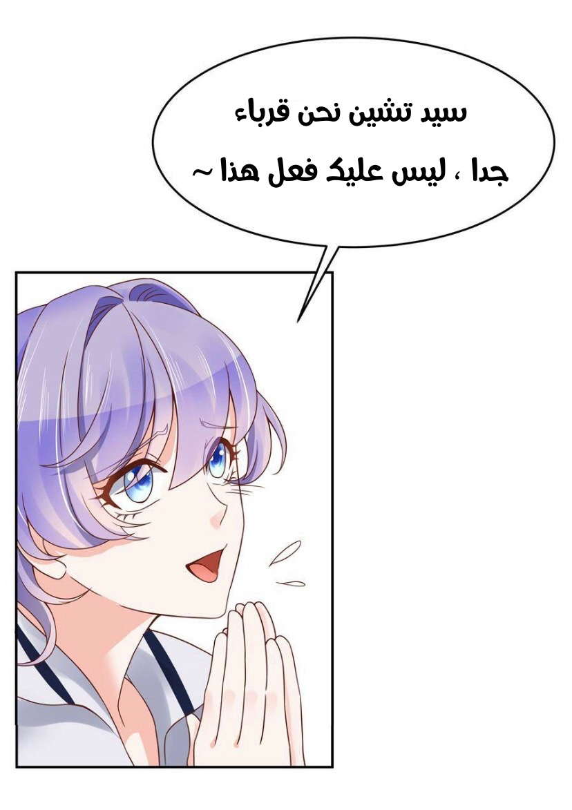 الصفحة 17