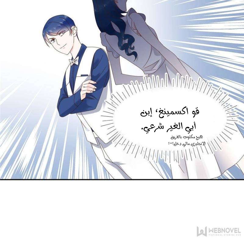 الصفحة 27