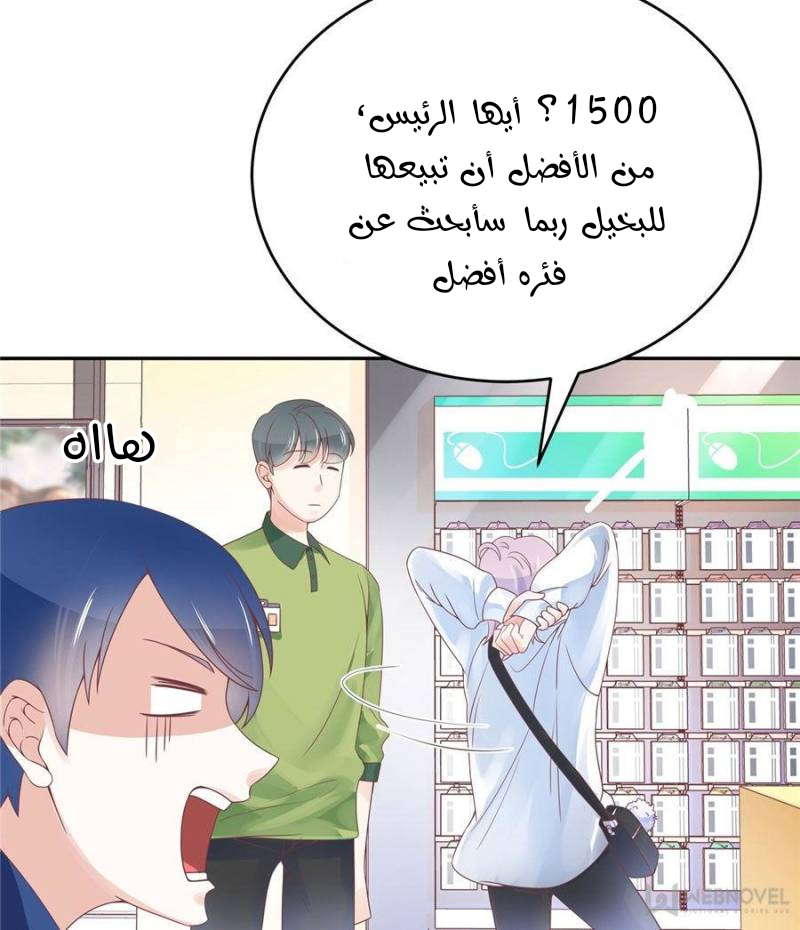 الصفحة 17