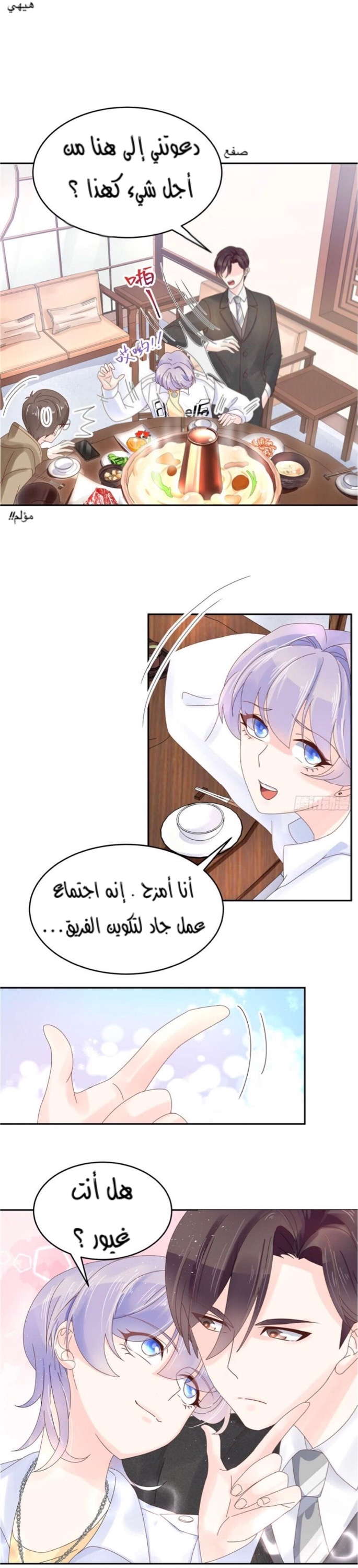 الصفحة 12