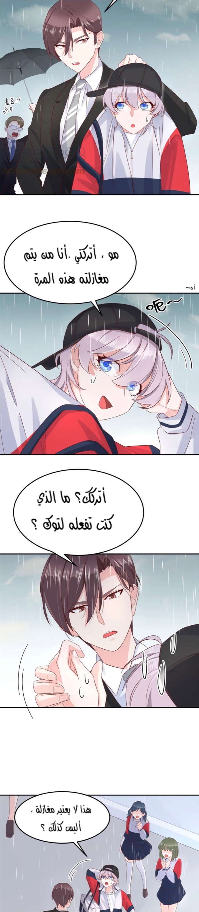 الصفحة 13