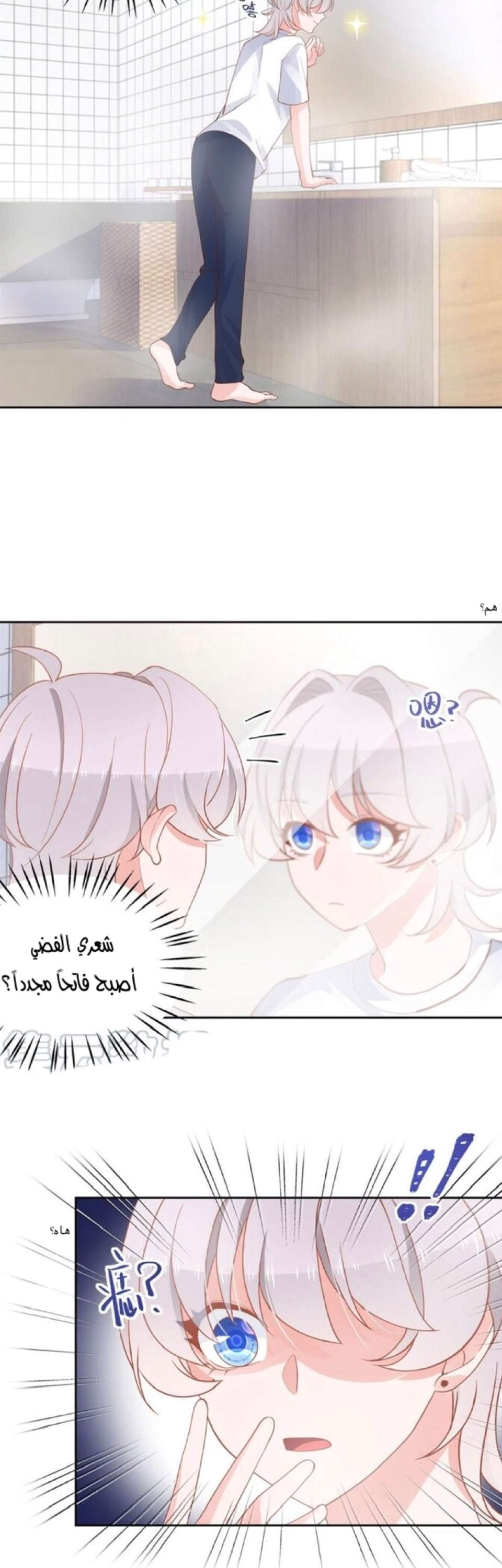 الصفحة 12