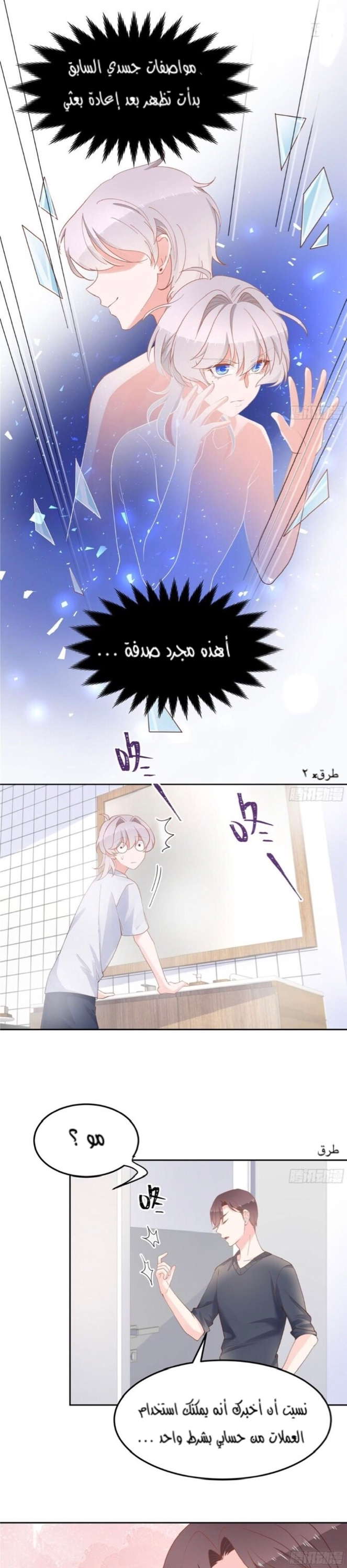 الصفحة 13