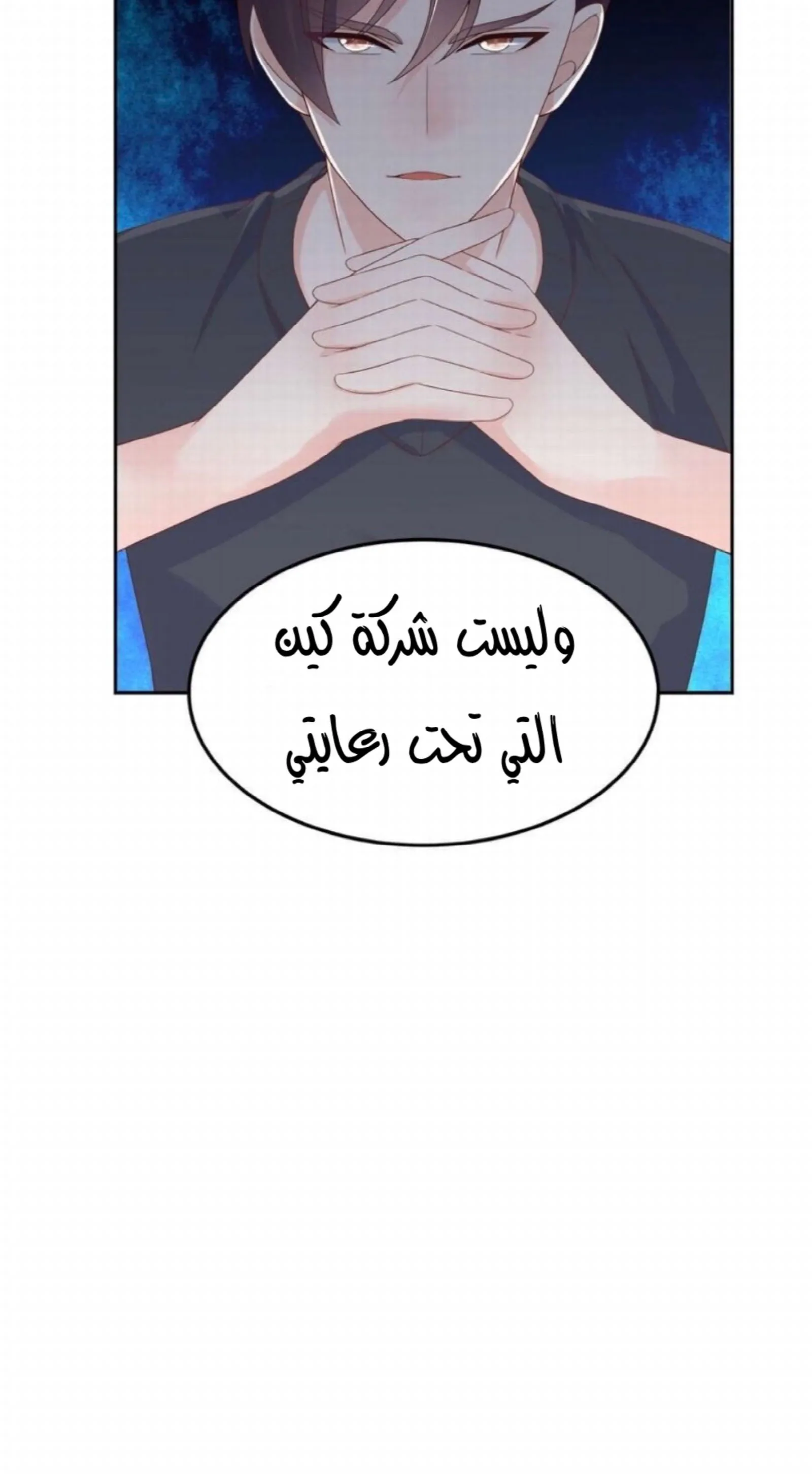الصفحة 13