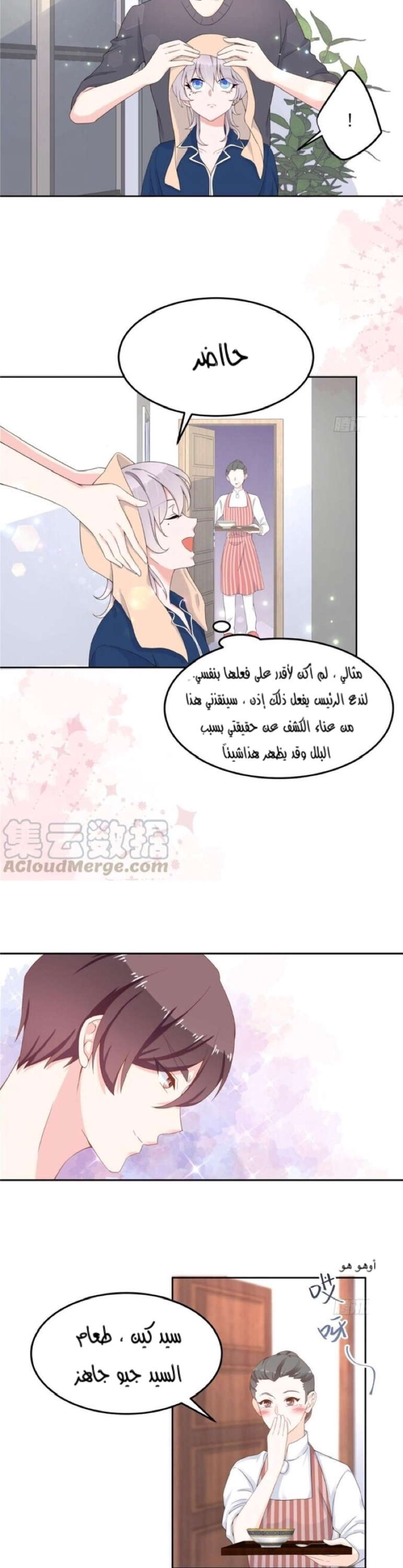 الصفحة 13