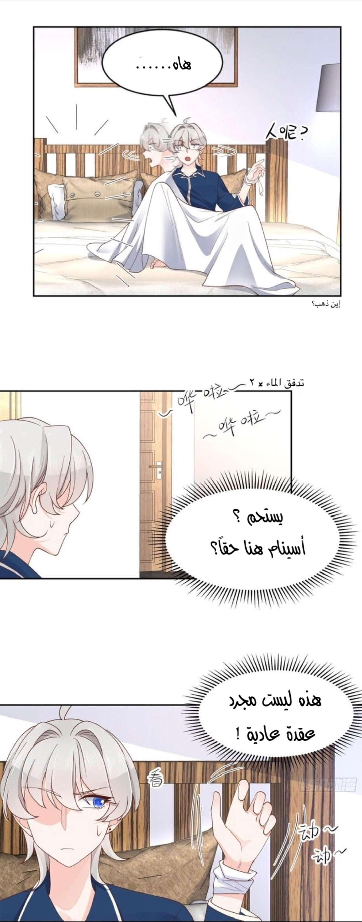 الصفحة 5