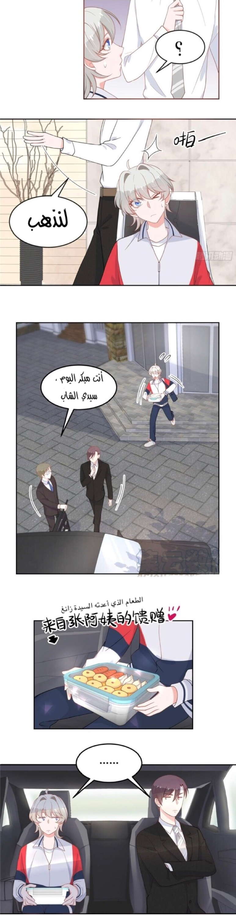 الصفحة 3