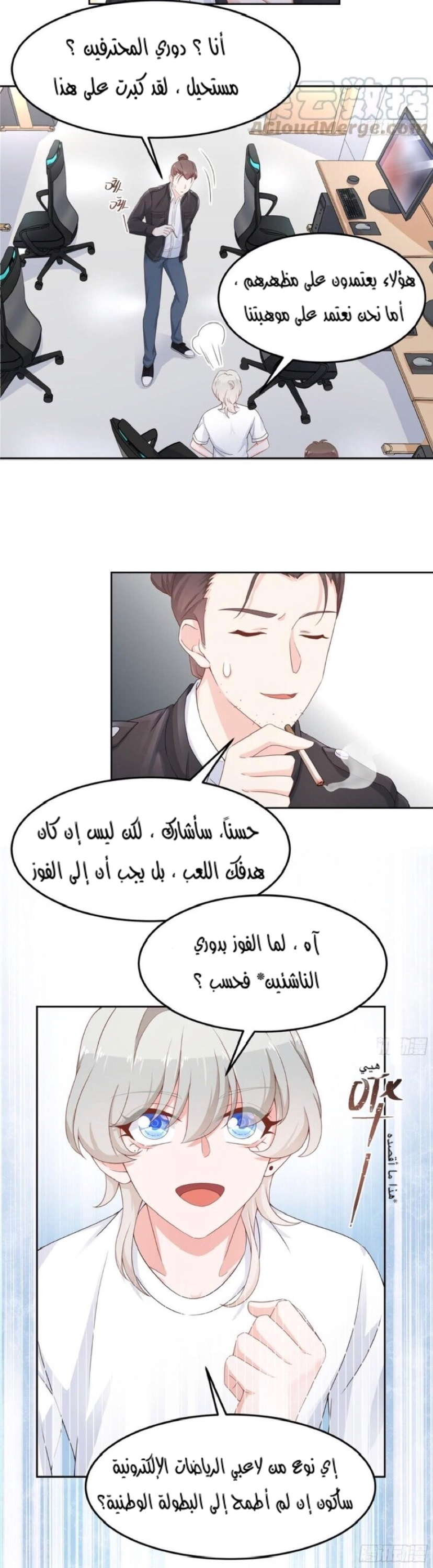 الصفحة 13