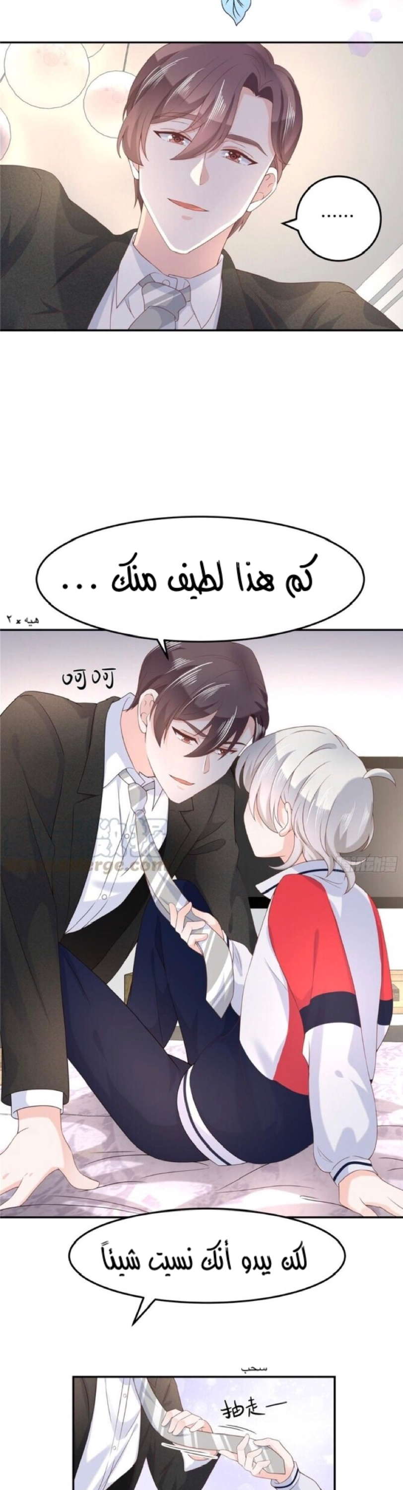 الصفحة 10