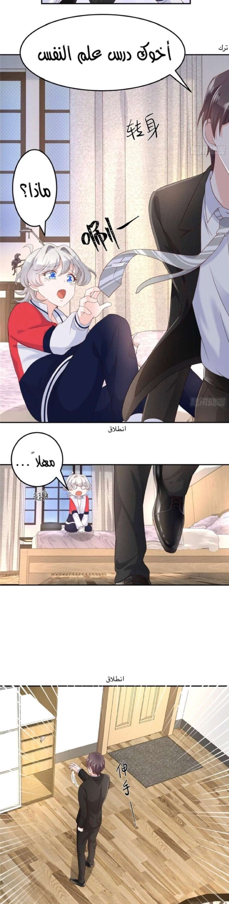 الصفحة 11