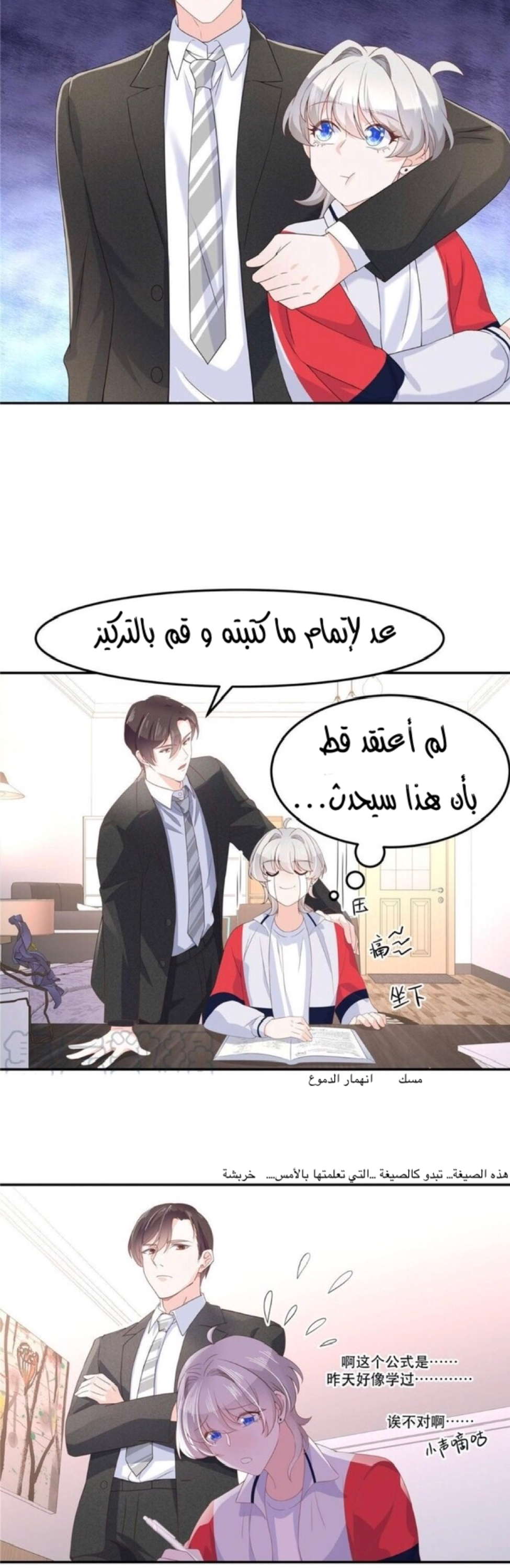 الصفحة 12