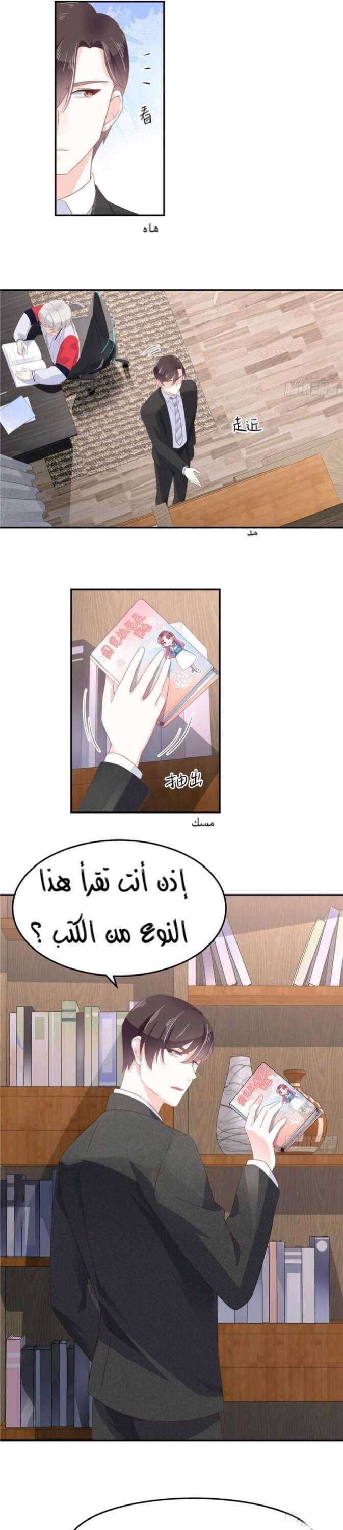 الصفحة 13