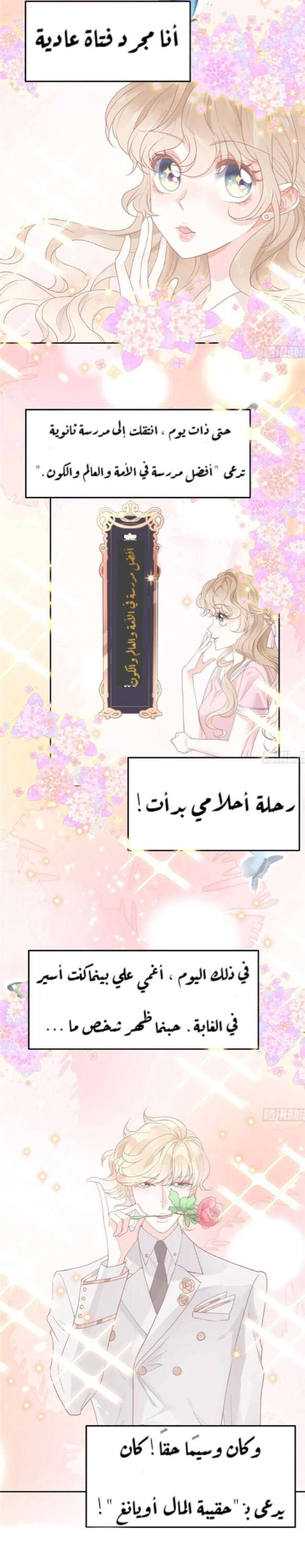 الصفحة 13