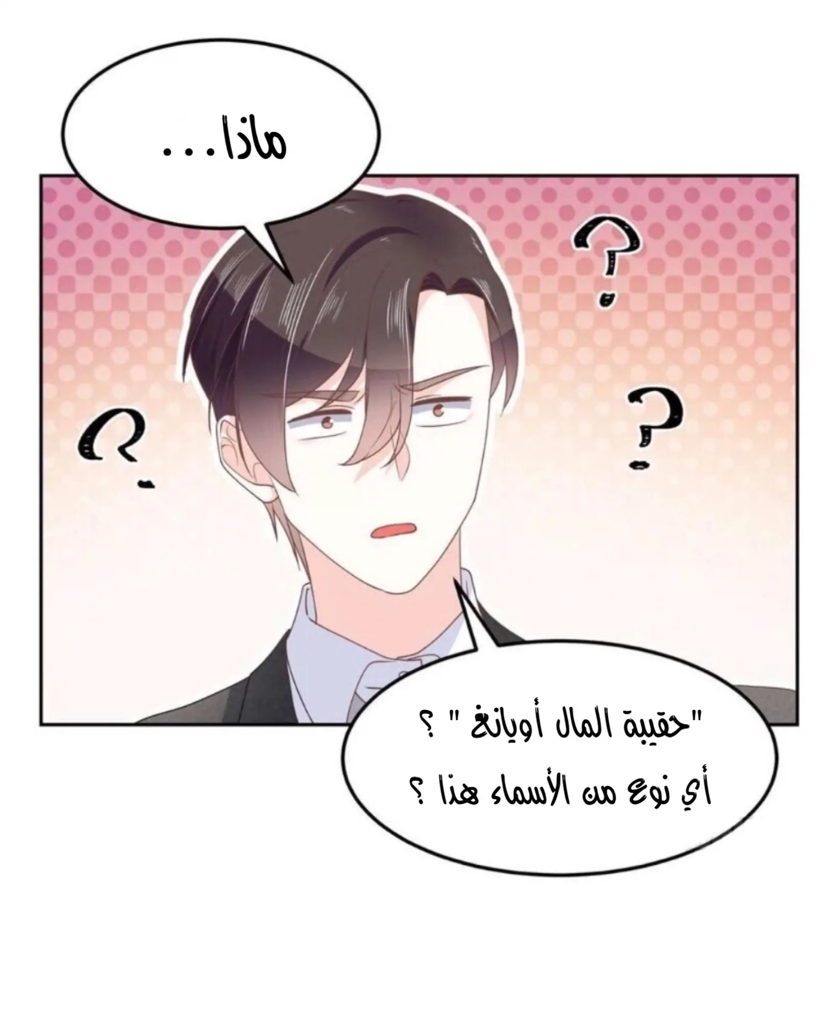 الصفحة 14