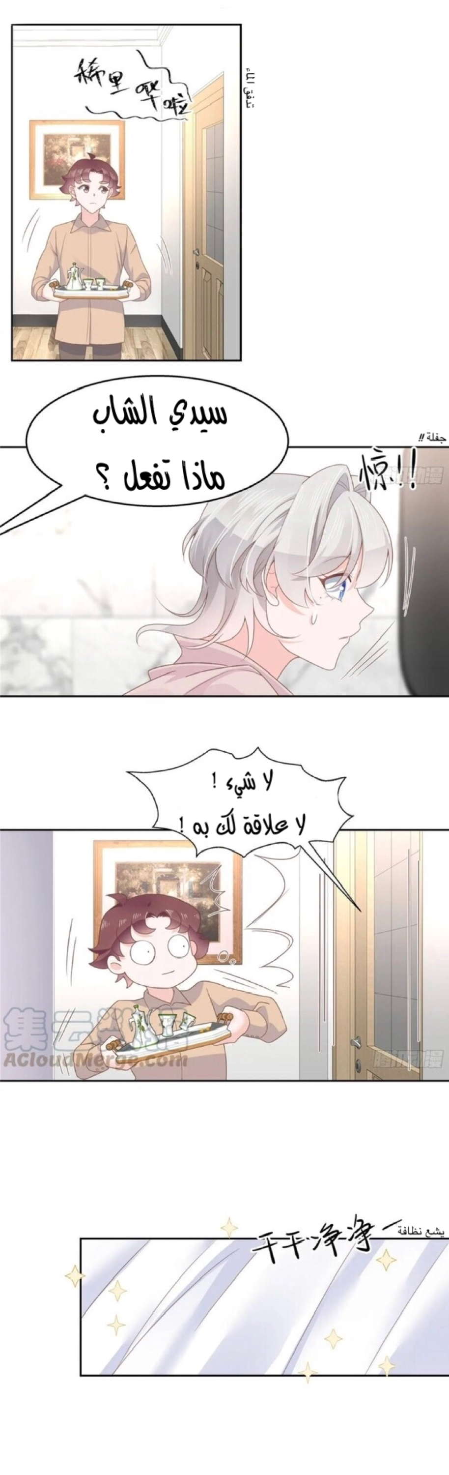 الصفحة 8