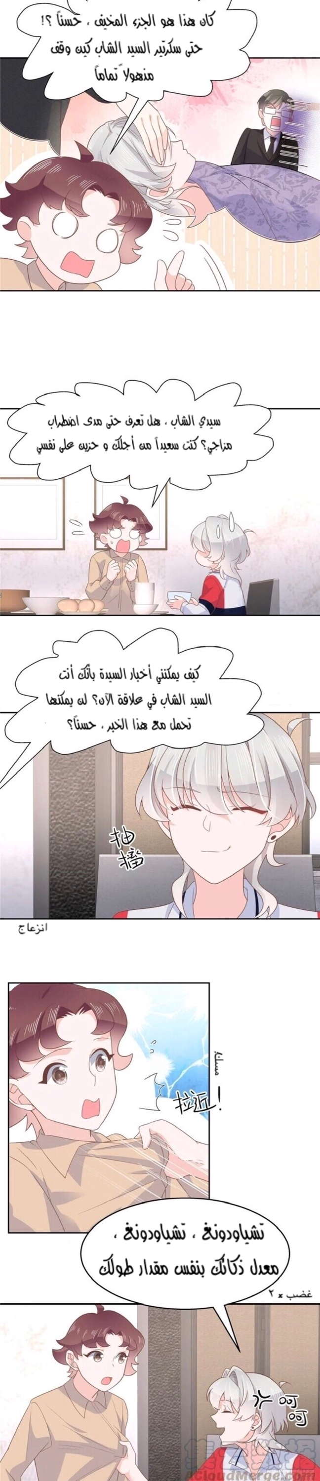 الصفحة 11