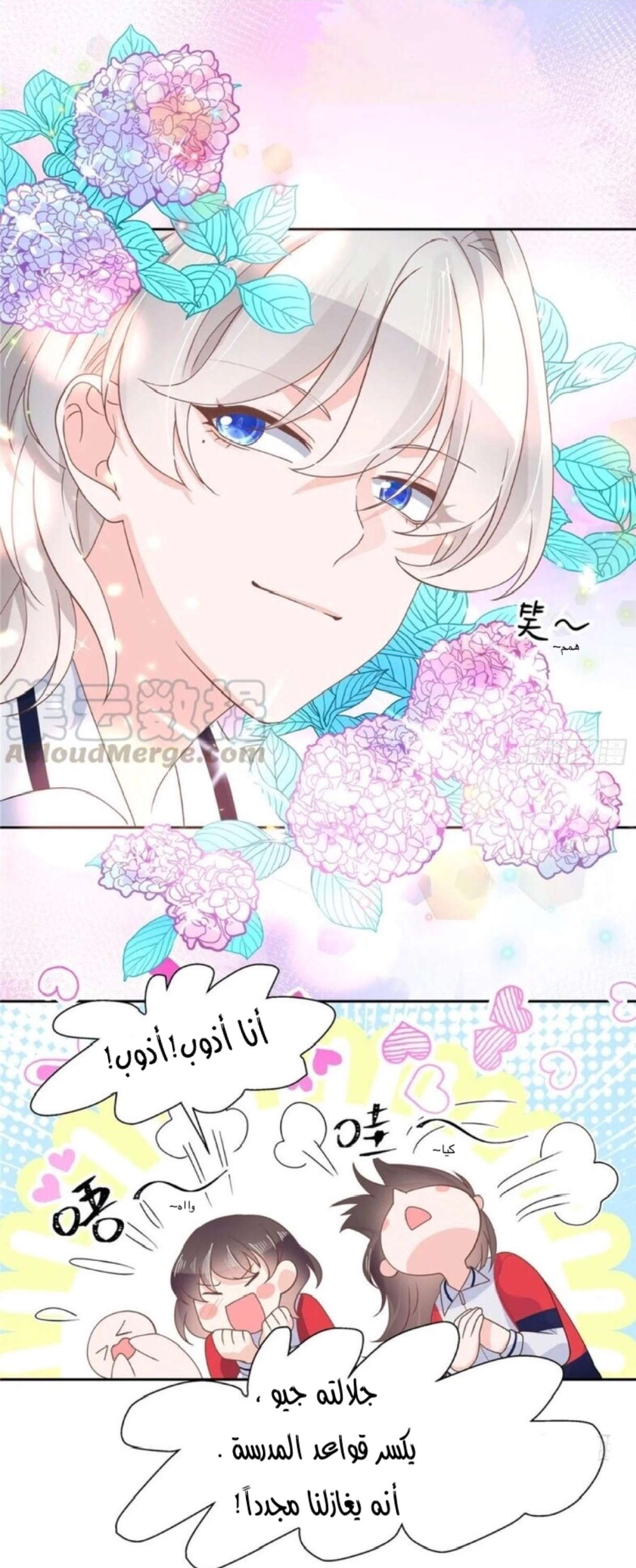 الصفحة 5