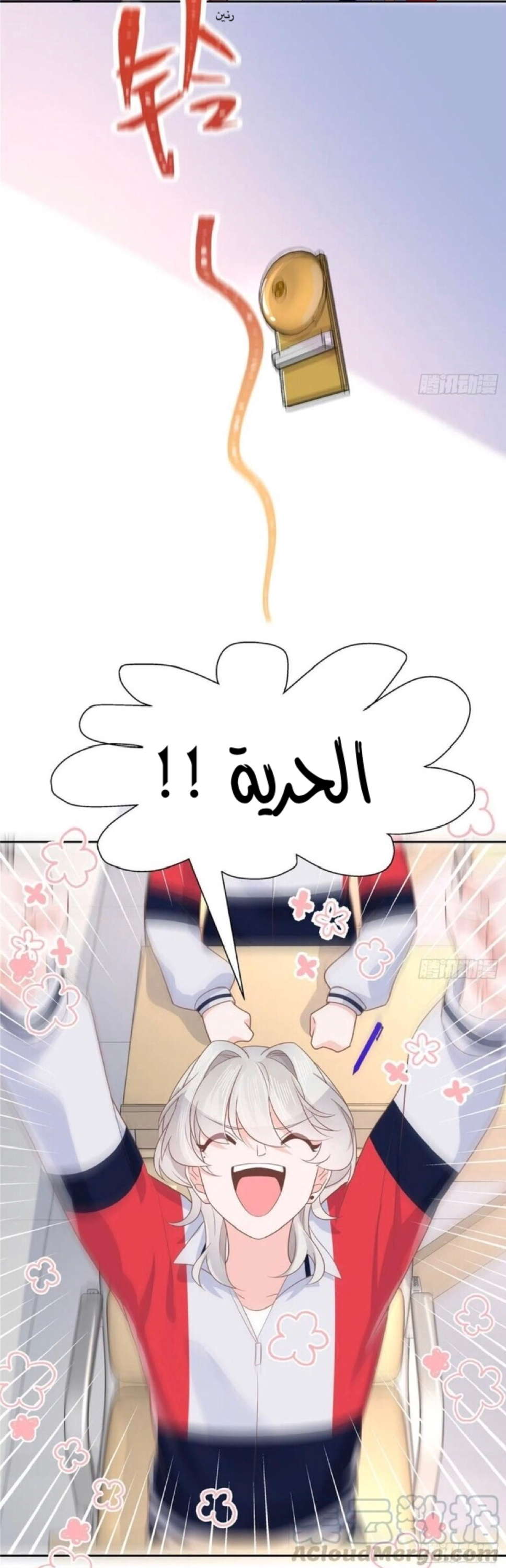 الصفحة 14