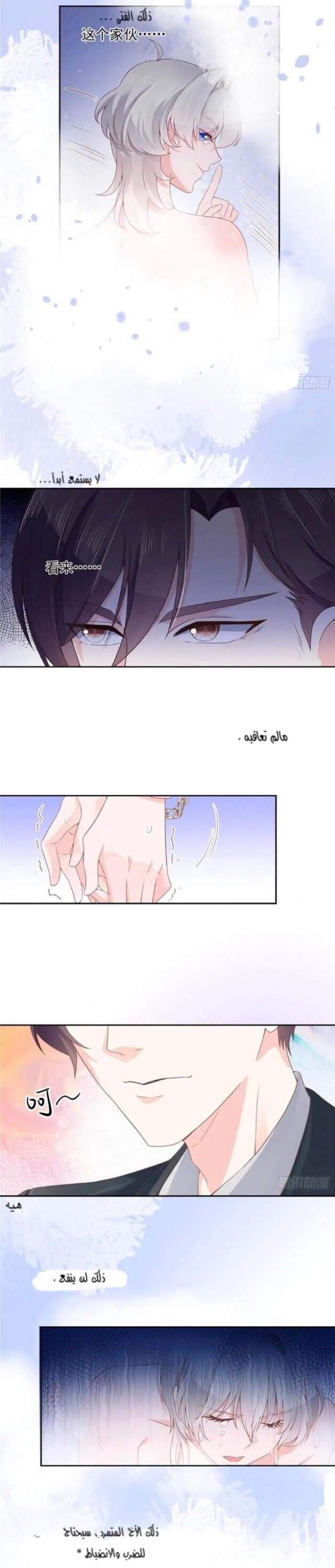 الصفحة 8