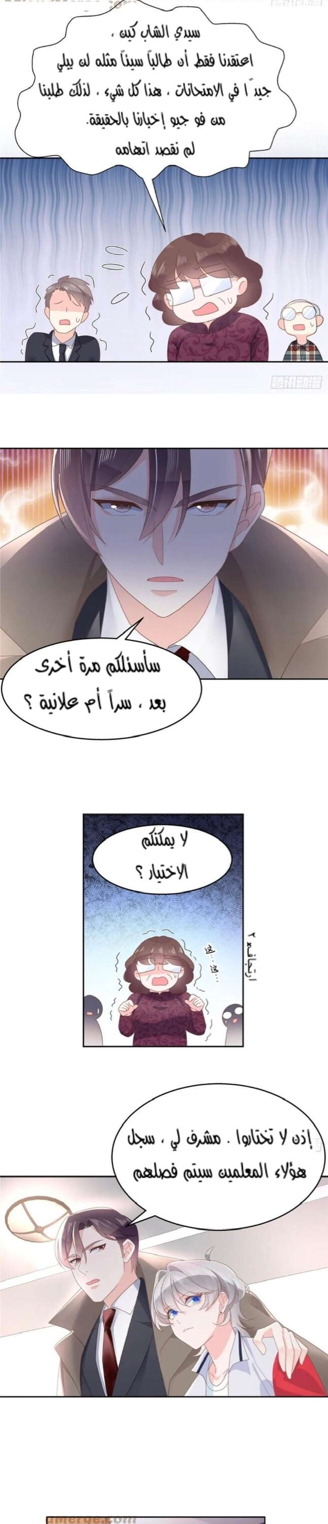 الصفحة 13