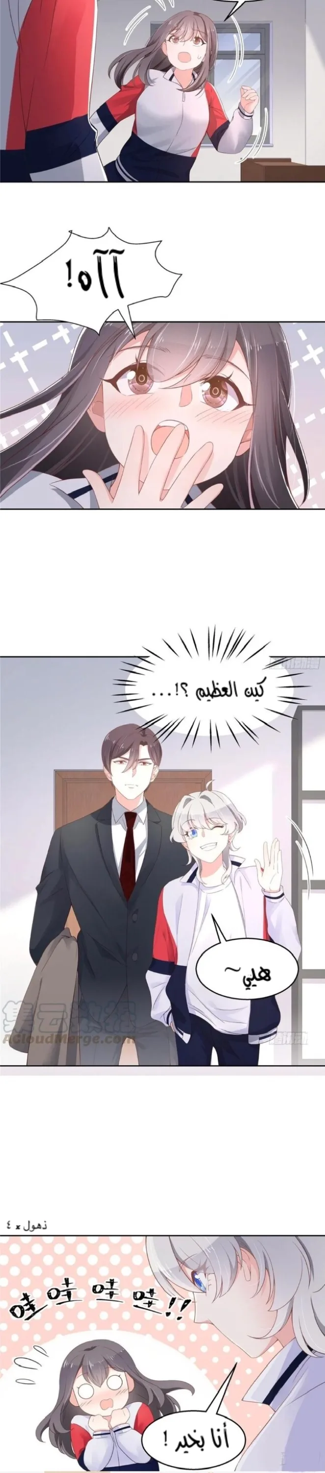 الصفحة 11