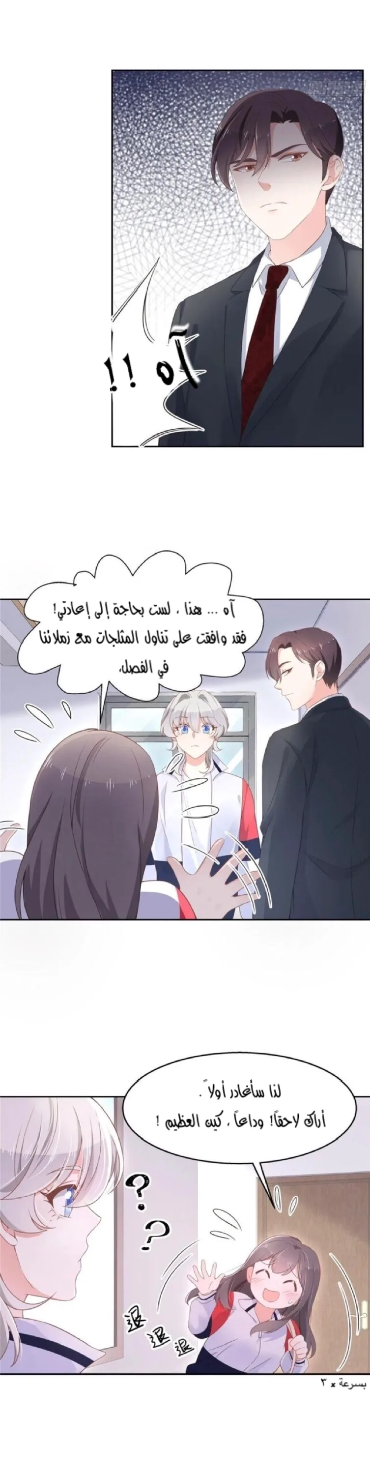 الصفحة 13