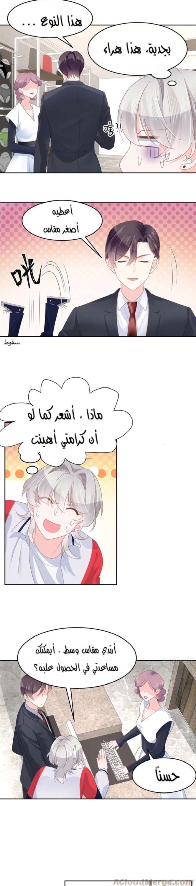 الصفحة 13