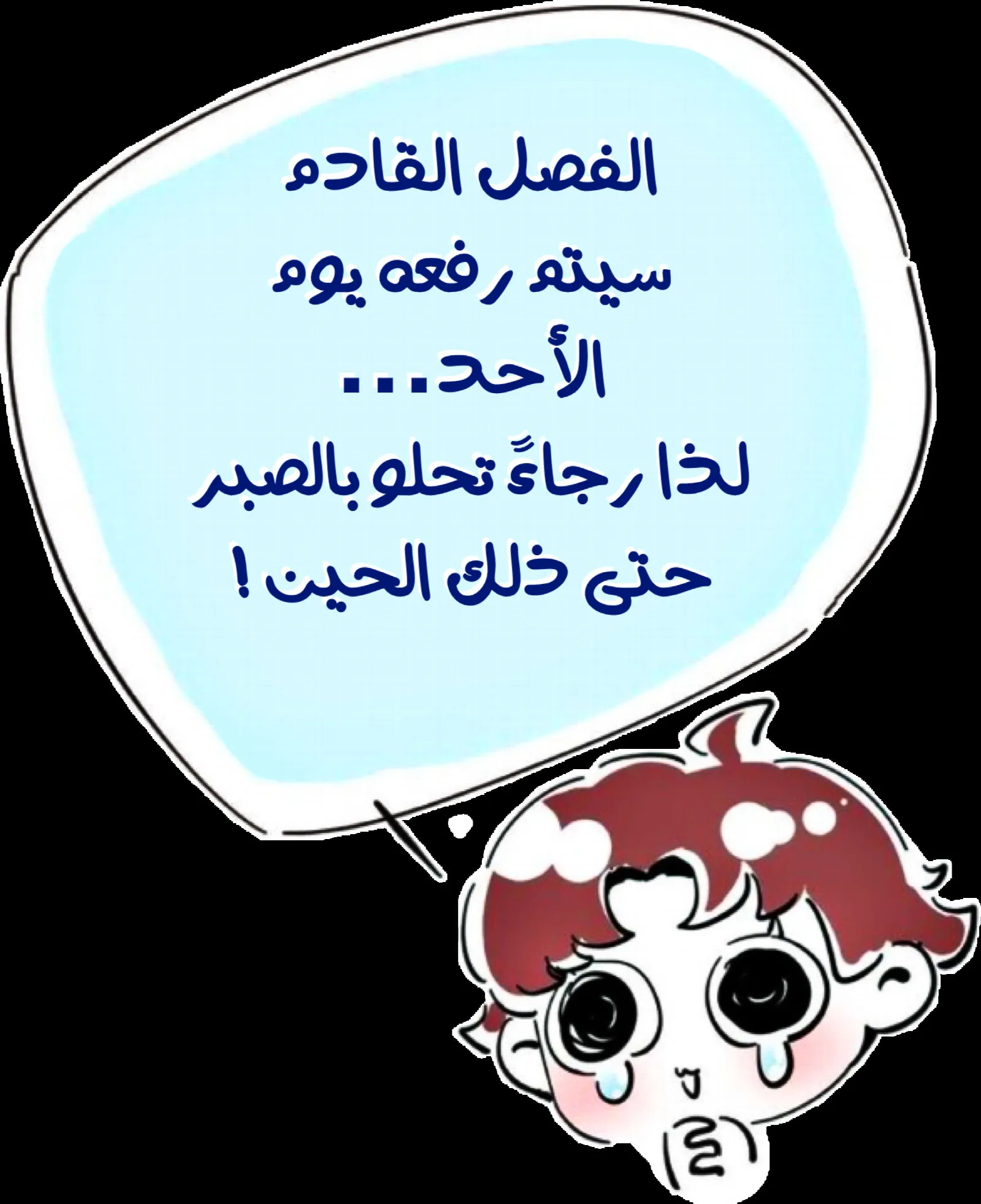 الصفحة 15