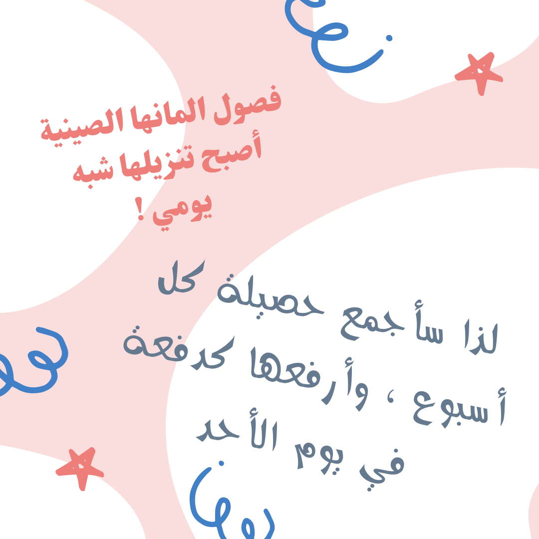 الصفحة 13