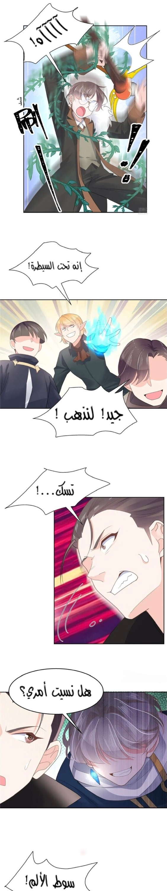 الصفحة 13