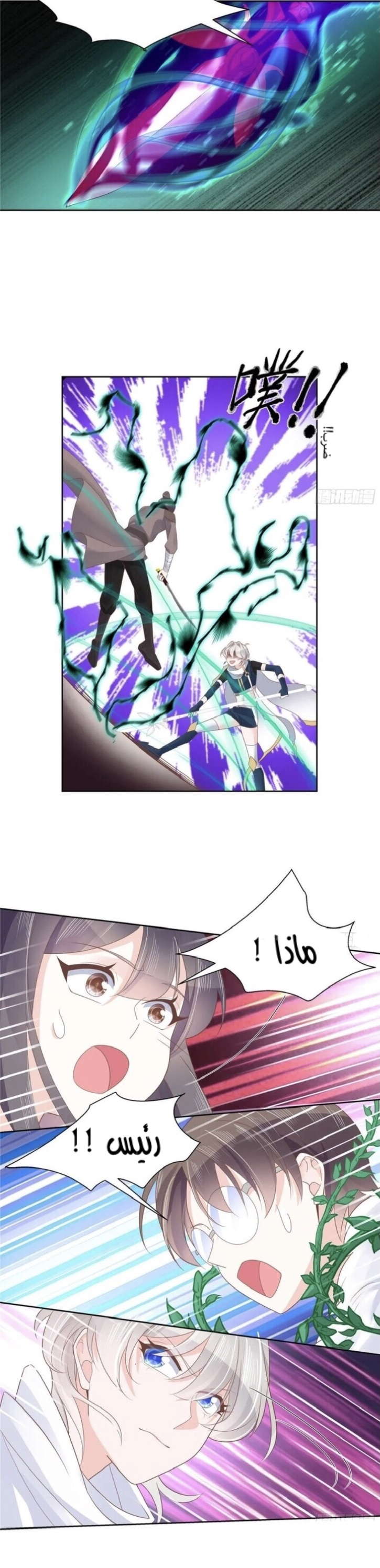 الصفحة 14
