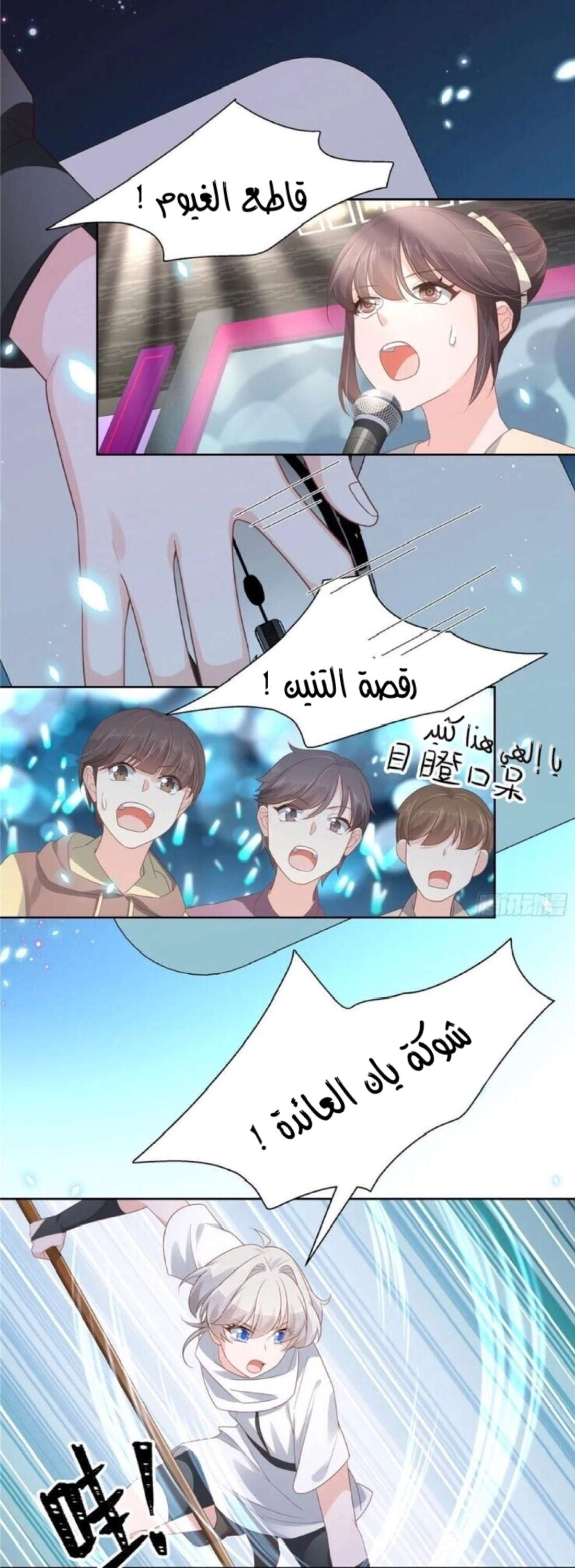الصفحة 12