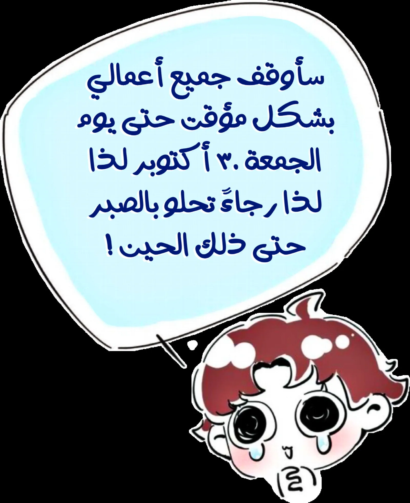 الصفحة 17