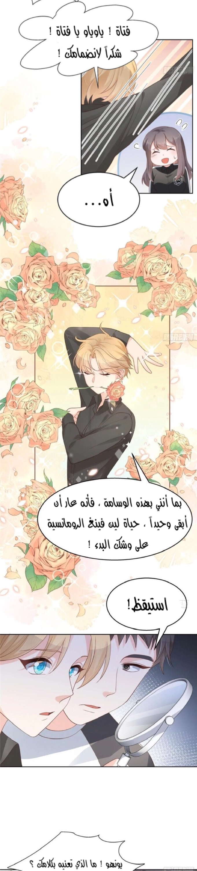 الصفحة 13