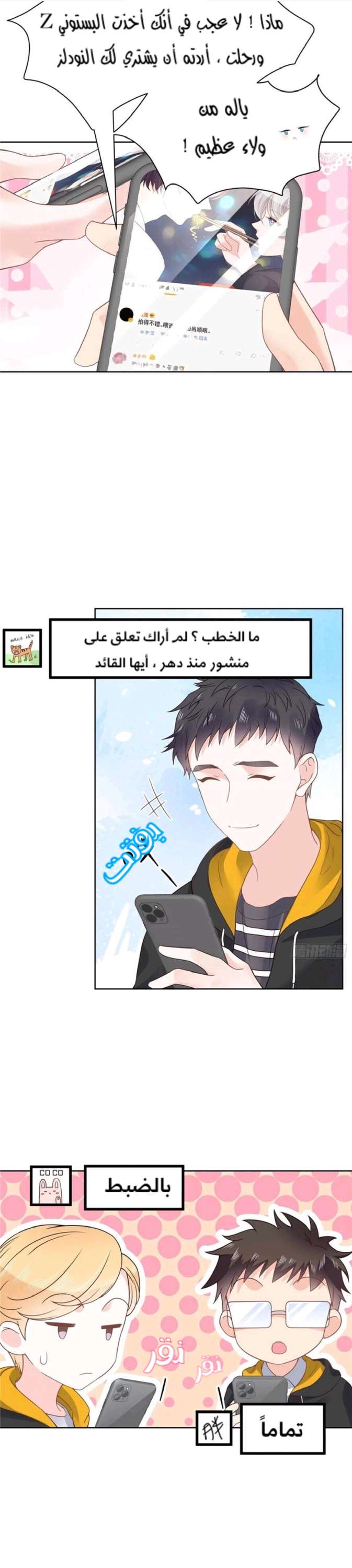 الصفحة 8