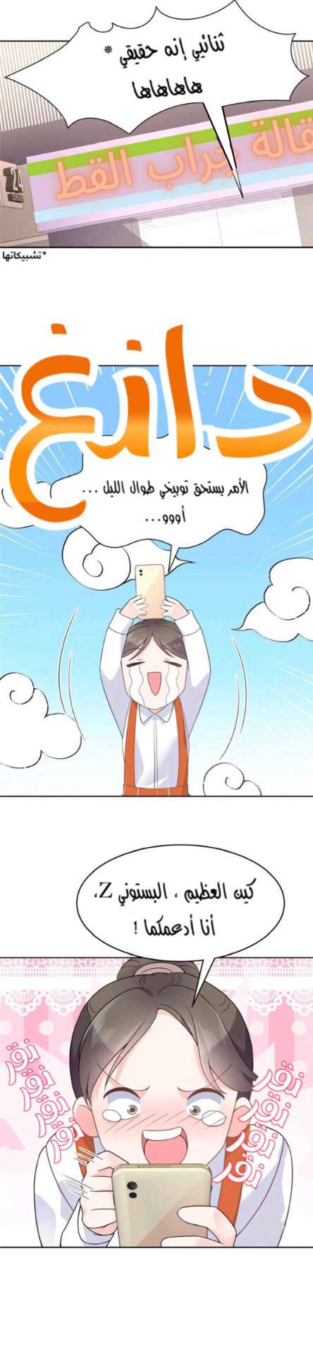 الصفحة 10